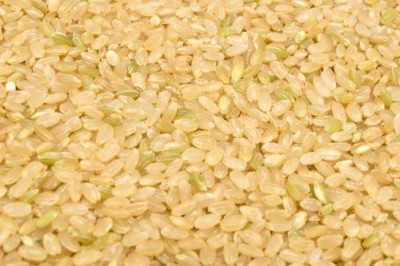 【令和6年度産】有機米 ササニシキ 玄米 5kg 有機JAS 自然農法 (宮城県 仙台たんの農園) 産地直送