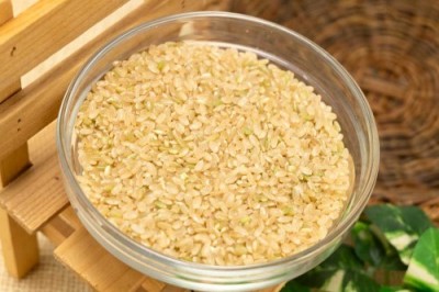【令和6年度産】有機米 ササニシキ 玄米 5kg 有機JAS 自然農法 (宮城県 仙台たんの農園) 産地直送