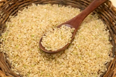 【令和6年度産】有機米 ササニシキ 玄米 5kg 有機JAS 自然農法 (宮城県 仙台たんの農園) 産地直送