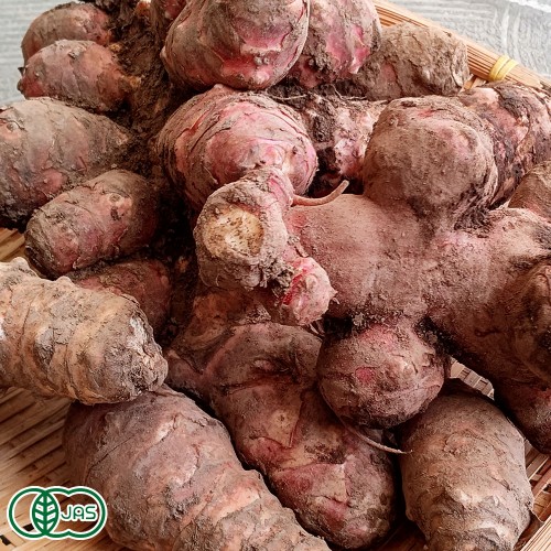 自然食ねっと青森株式会社 無農薬 自然農法 有機農産物などの産直通販 ふるさと21