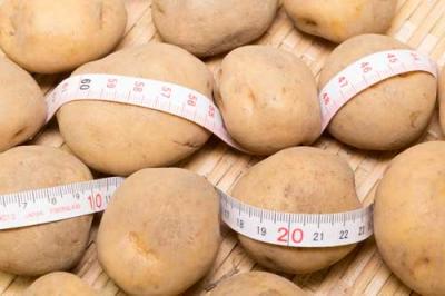 【サイズ混合】 有機じゃがいも とうや 10kg 有機JAS 自然農法 (北海道 はるか農園) 産地直送 ジャガイモ