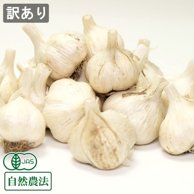 【ポイント3倍・訳あり】有機田子にんにく 5kg 有機JAS・自然農法 (青森県 やまもと農産) 産地直送