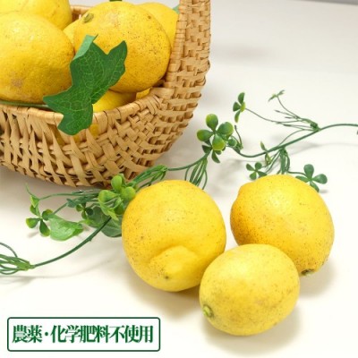 【ポイント5倍・無選別】広島県産(とびしま)レモン 3kg 無・無 (広島県 とびしま農園) 産地直送
