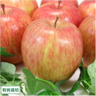 【ポイント3倍・予約・小玉】有機 サンふじ A品 8kg 有機JAS (青森県 北上農園) 産地直送