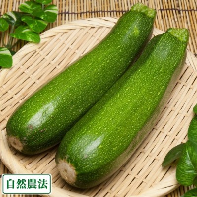 ズッキーニ 約3kg 自然農法 (沖縄県 大宜味農場) 産地直送