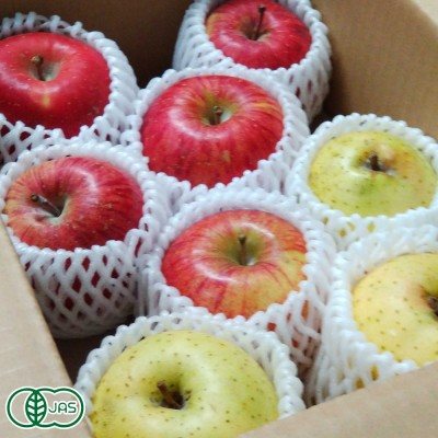 【訳あり】 有機りんご 2色セット 2kg 有機JAS (青森県産)