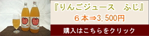 田村りんご農園　りんごジュース　ふじ