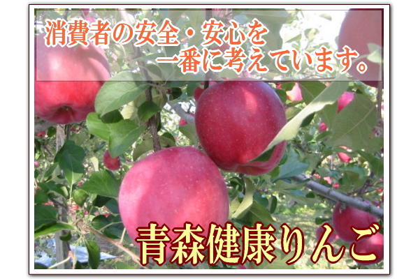 自然農法登録りんご農家の青森健康りんご
