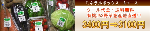 ミネラルボックス紹介