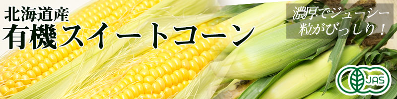 とうもろこし