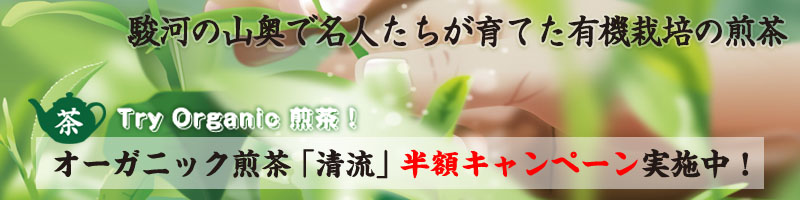 清流半額
