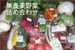 無農薬野菜アグリパック