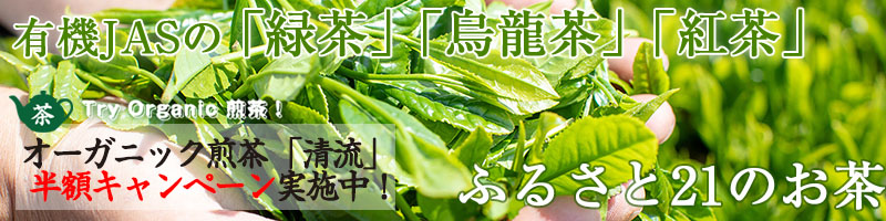 煎茶半額