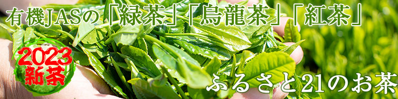 新茶2023