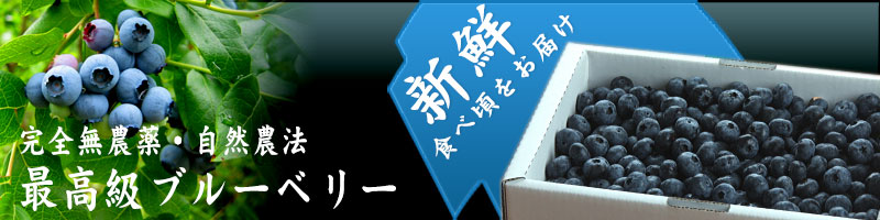 ブルーベリー
