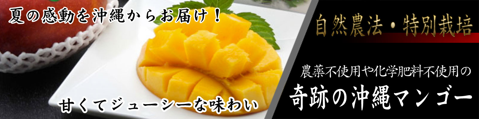 マンゴー