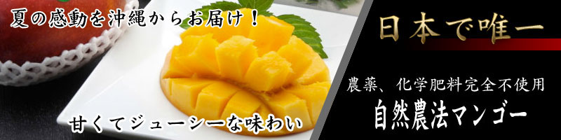 マンゴー