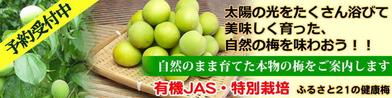 梅