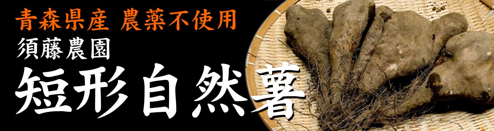 短形自然薯