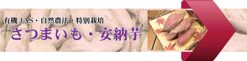 さつまいも・安納芋