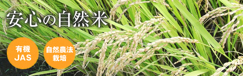 米生産者 ｜ 無農薬・自然農法・有機農産物などの産直通販 ふるさと21