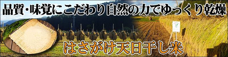 はさがけ米
