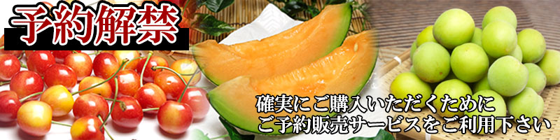 予約コーナー