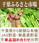 千葉ふるさと市場